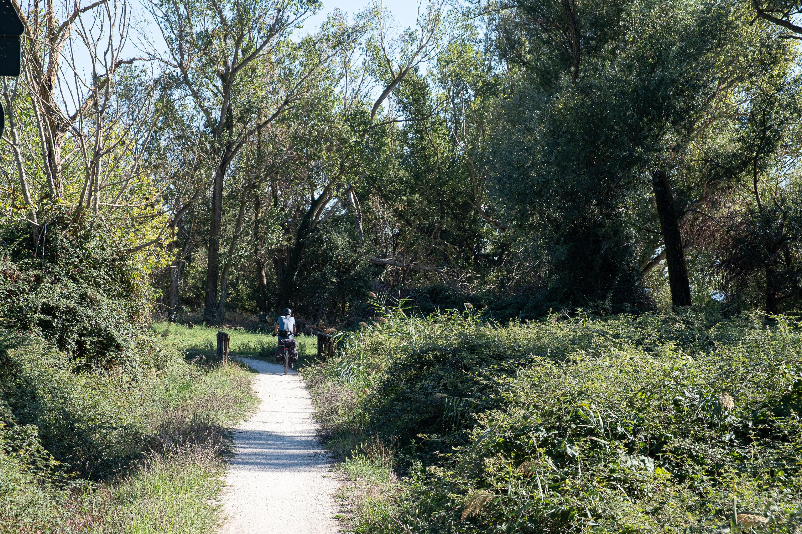 Auf dem Radweg um den See – Schotter zwischen Gebüsch